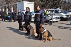 Esplanada din faţa Prefecturii din Craiova –plinǎ de baloane colorate şi poliţişti cu ocazia Zilei P
