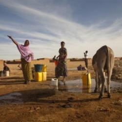 Doliu național pentru migranții care și-au pierdut viața în deșertul Sahara