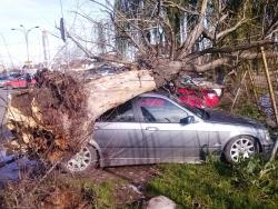 Vremea rea a facut deja pagube in Craiova
