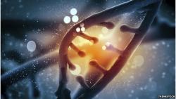 Astra Zeneca – un nou program de cercetare genetică